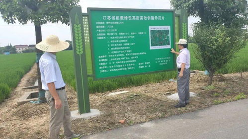 田園牧歌新旋律 農(nóng)技推廣服務(wù)構(gòu)筑現(xiàn)代農(nóng)業(yè)新航線